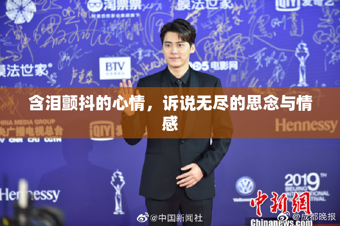含泪颤抖的心情，诉说无尽的思念与情感