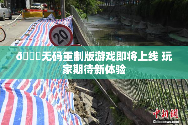 🔞无码重制版游戏即将上线 玩家期待新体验