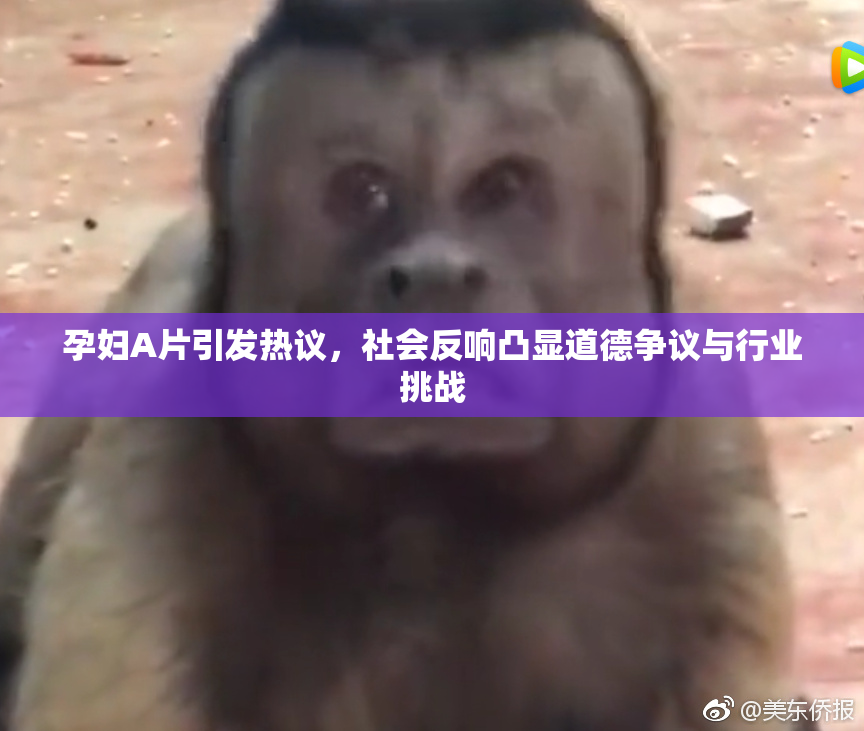 孕妇A片引发热议，社会反响凸显道德争议与行业挑战