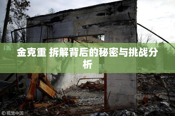 金克重 拆解背后的秘密与挑战分析
