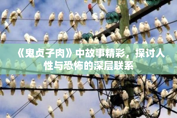 《鬼贞子肉》中故事精彩，探讨人性与恐怖的深层联系