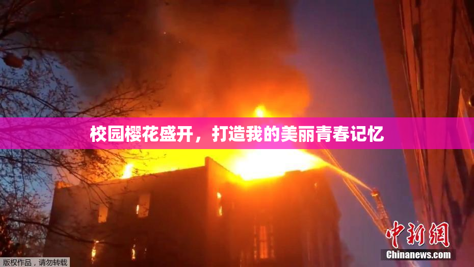 校园樱花盛开，打造我的美丽青春记忆