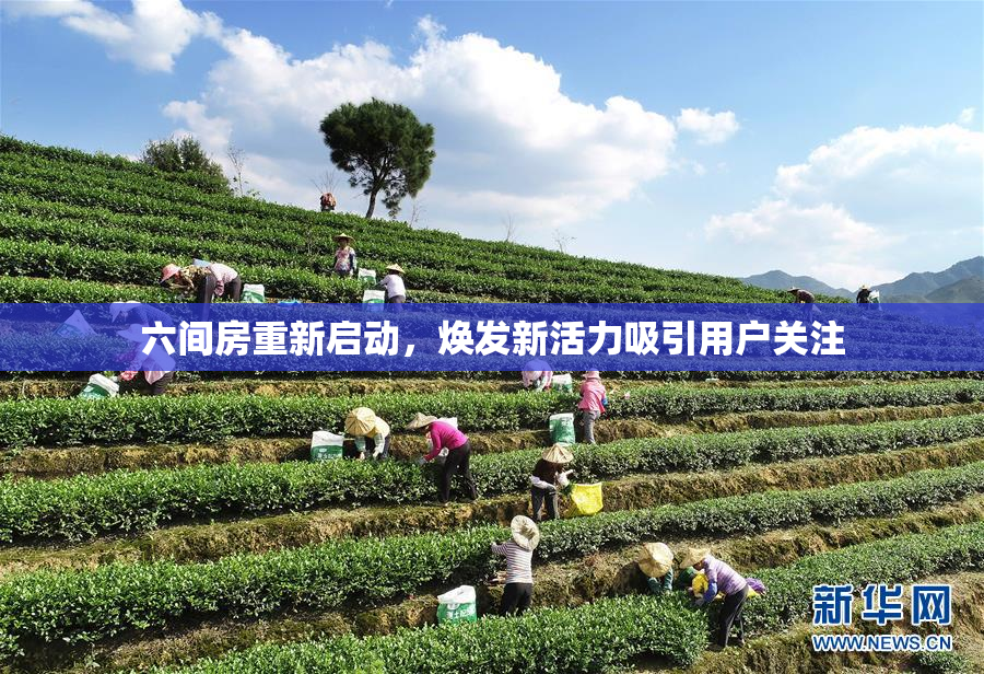 六间房重新启动，焕发新活力吸引用户关注
