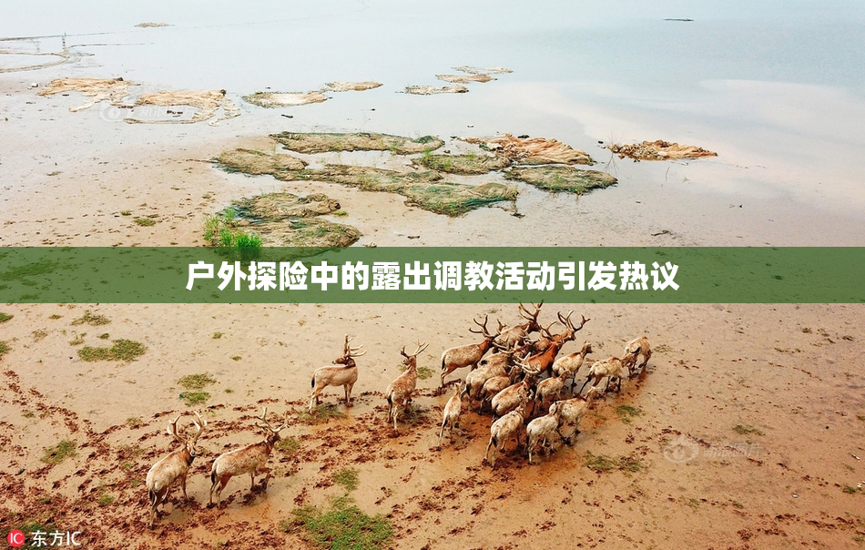 户外探险中的露出调教活动引发热议