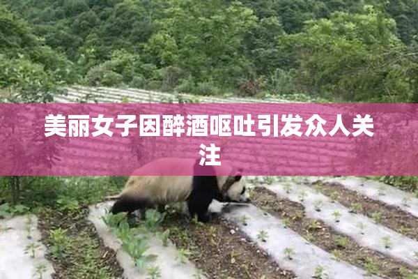 美丽女子因醉酒呕吐引发众人关注