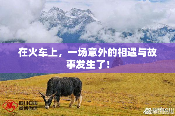 在火车上，一场意外的相遇与故事发生了！