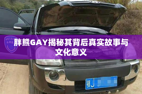 胖熊GAY揭秘其背后真实故事与文化意义