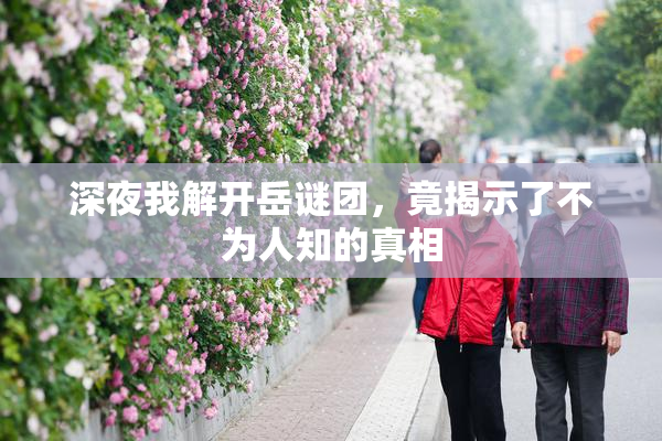 深夜我解开岳谜团，竟揭示了不为人知的真相