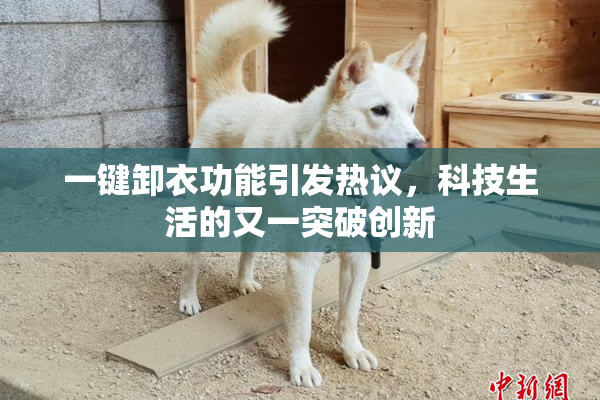 一键卸衣功能引发热议，科技生活的又一突破创新