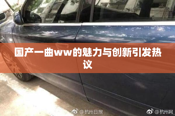 国产一曲ww的魅力与创新引发热议