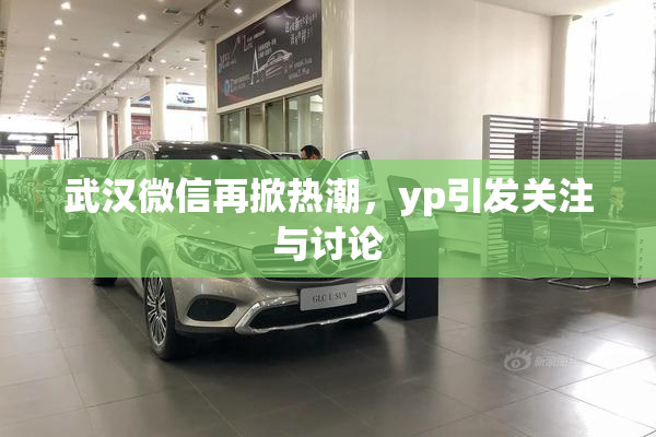 武汉微信再掀热潮，yp引发关注与讨论
