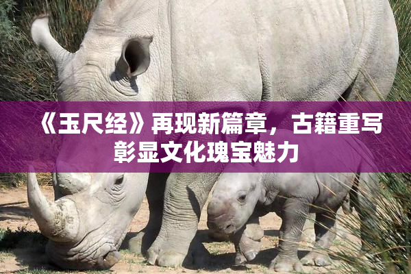 《玉尺经》再现新篇章，古籍重写彰显文化瑰宝魅力