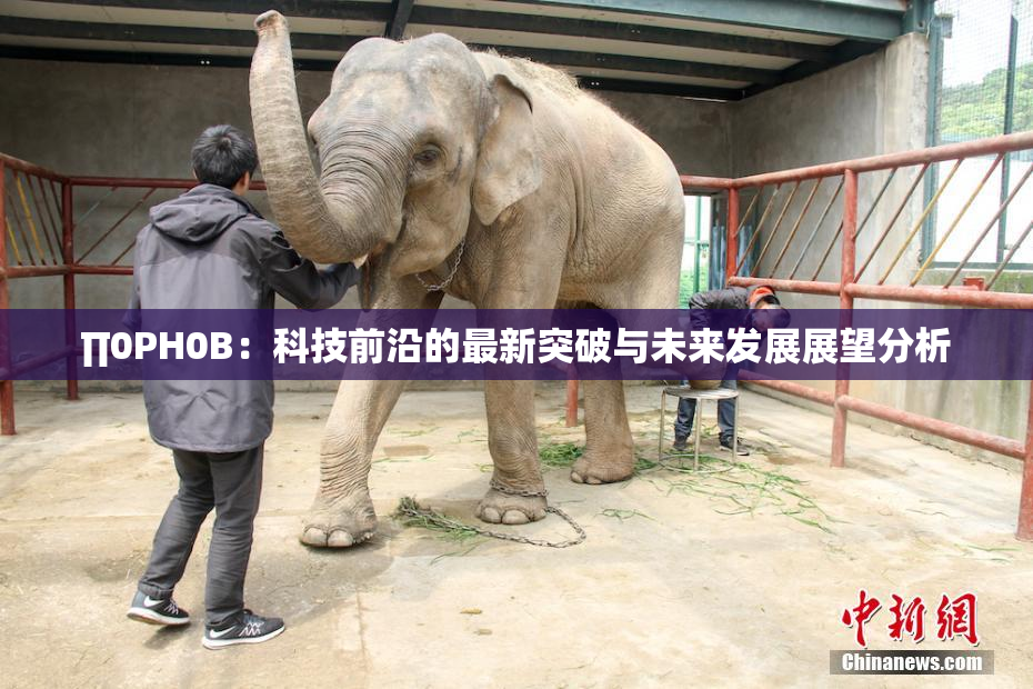 ∏0PH0B：科技前沿的最新突破与未来发展展望分析