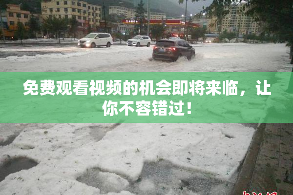 免费观看视频的机会即将来临，让你不容错过！