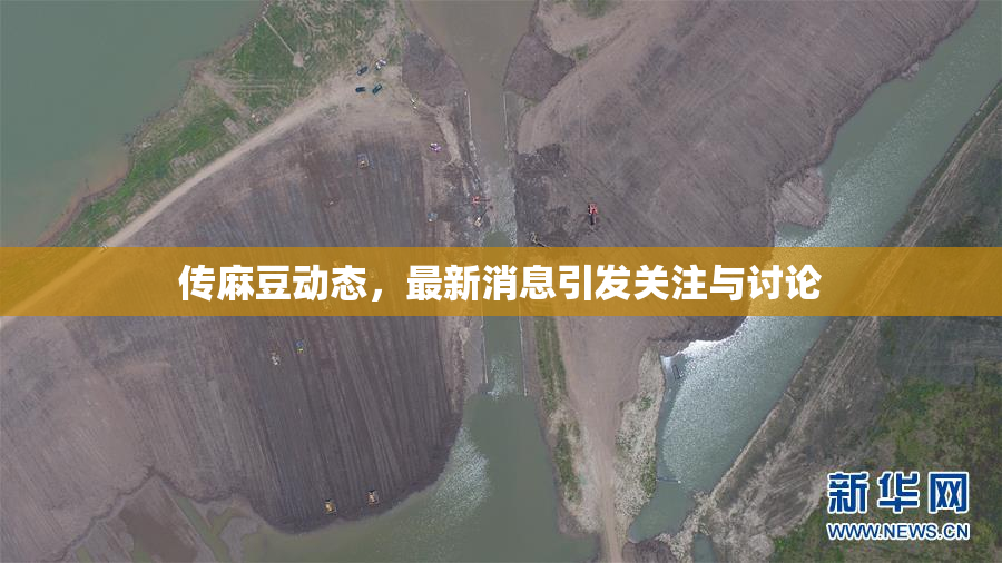 传麻豆动态，最新消息引发关注与讨论