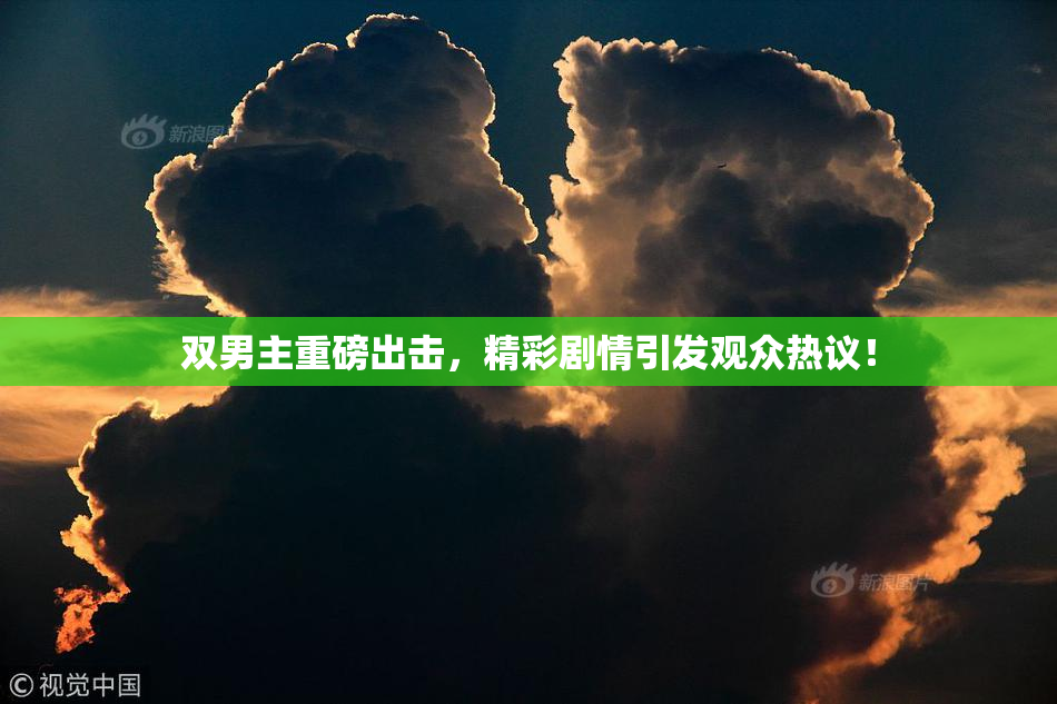 双男主重磅出击，精彩剧情引发观众热议！