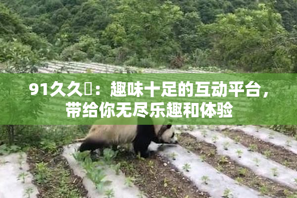 91久久擼：趣味十足的互动平台，带给你无尽乐趣和体验
