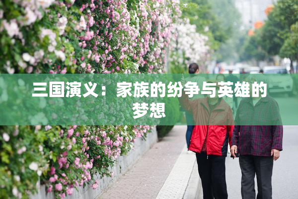 三国演义：家族的纷争与英雄的梦想