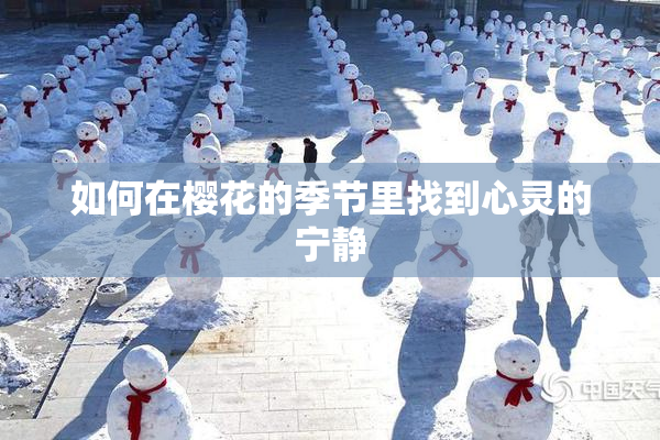 如何在樱花的季节里找到心灵的宁静
