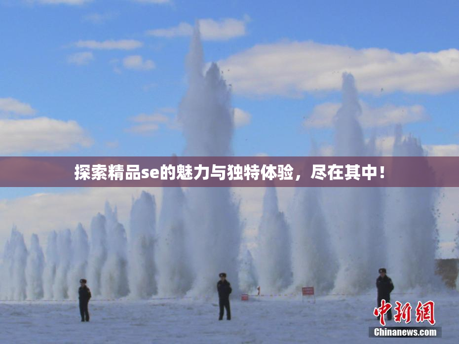 探索精品se的魅力与独特体验，尽在其中！