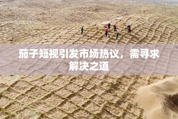 茄子短视引发市场热议，需寻求解决之道