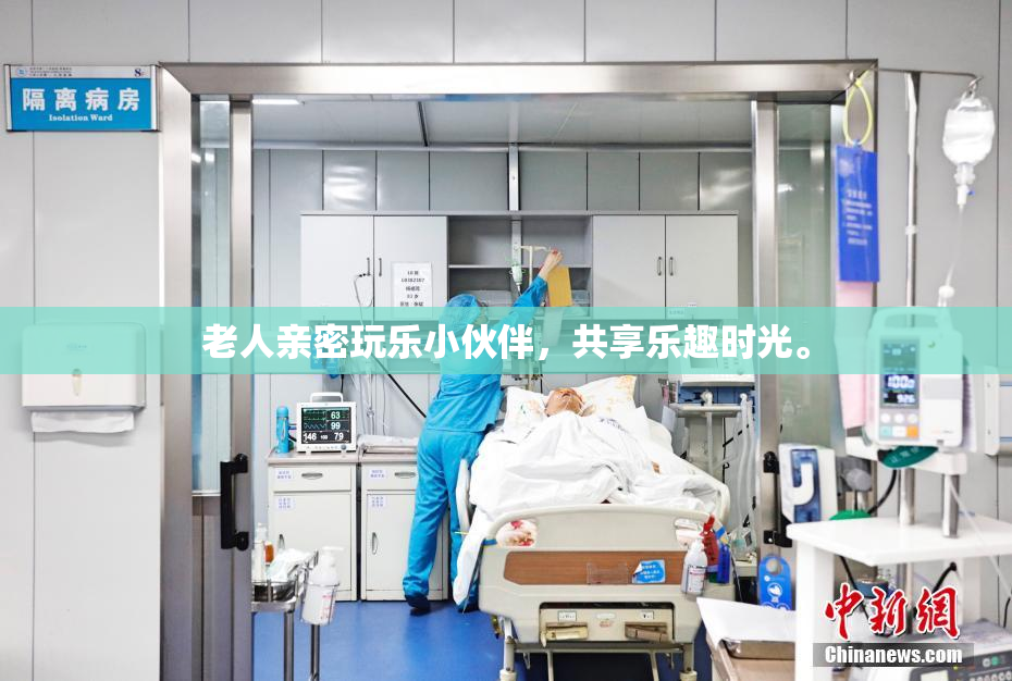 老人亲密玩乐小伙伴，共享乐趣时光。