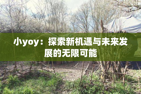 小yoy：探索新机遇与未来发展的无限可能