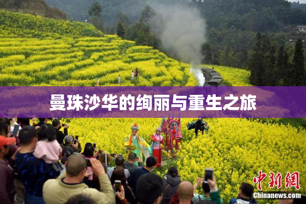 曼珠沙华的绚丽与重生之旅