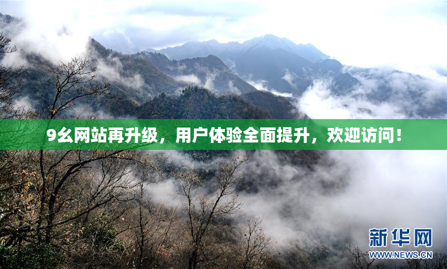 9幺网站再升级，用户体验全面提升，欢迎访问！