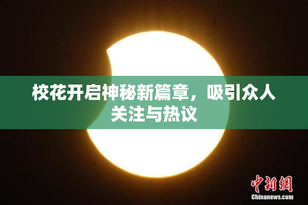 校花开启神秘新篇章，吸引众人关注与热议