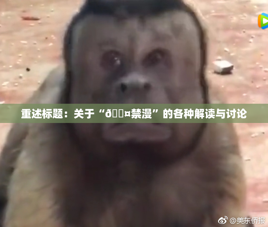 重述标题：关于“🖤禁漫”的各种解读与讨论