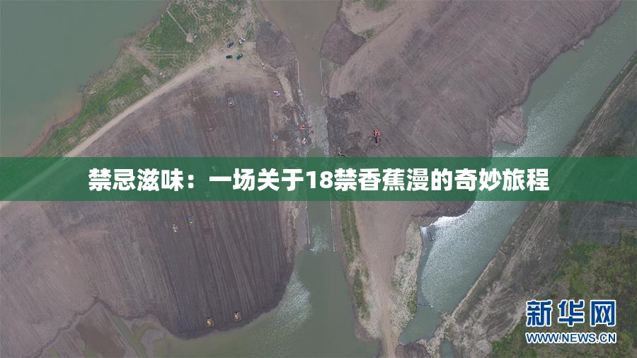 禁忌滋味：一场关于18禁香蕉漫的奇妙旅程