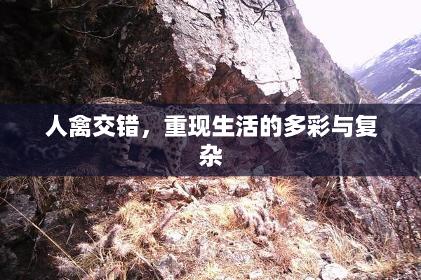 人禽交错，重现生活的多彩与复杂