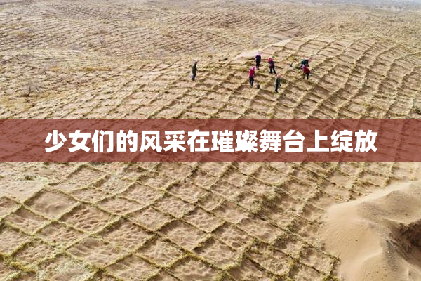 少女们的风采在璀璨舞台上绽放