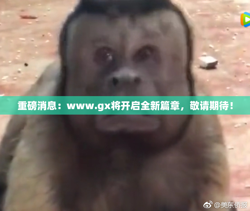 重磅消息：www.gx将开启全新篇章，敬请期待！