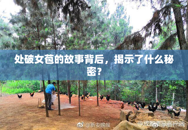 处破女苞的故事背后，揭示了什么秘密？