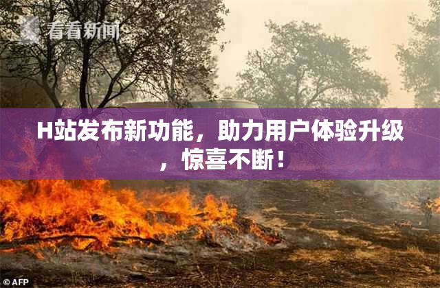 H站发布新功能，助力用户体验升级，惊喜不断！