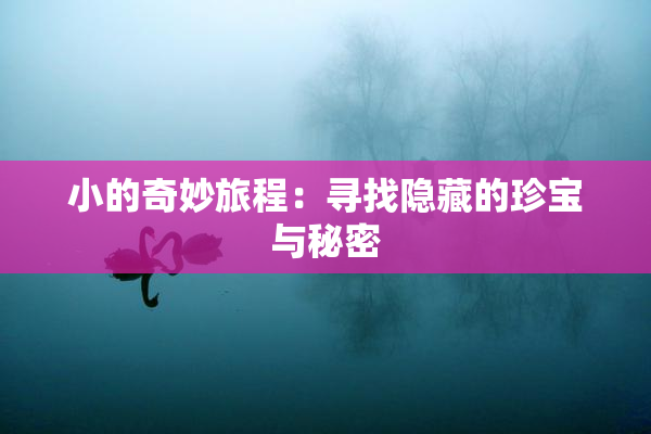 小的奇妙旅程：寻找隐藏的珍宝与秘密