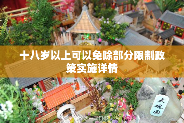 十八岁以上可以免除部分限制政策实施详情