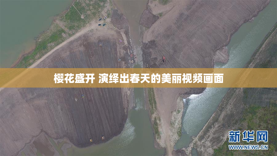 樱花盛开 演绎出春天的美丽视频画面