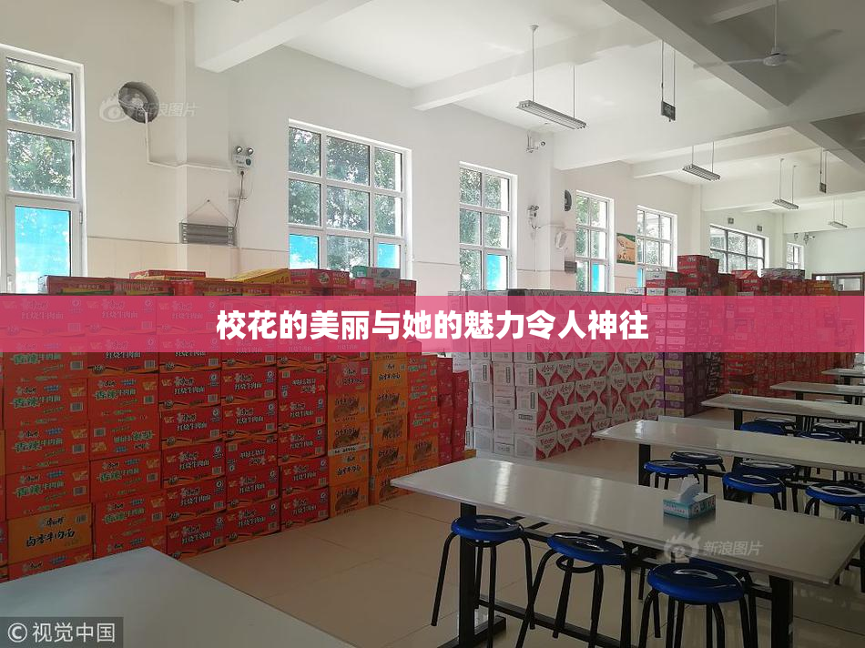 校花的美丽与她的魅力令人神往