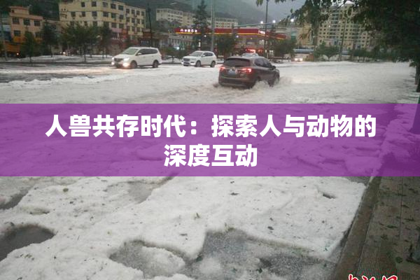 人兽共存时代：探索人与动物的深度互动
