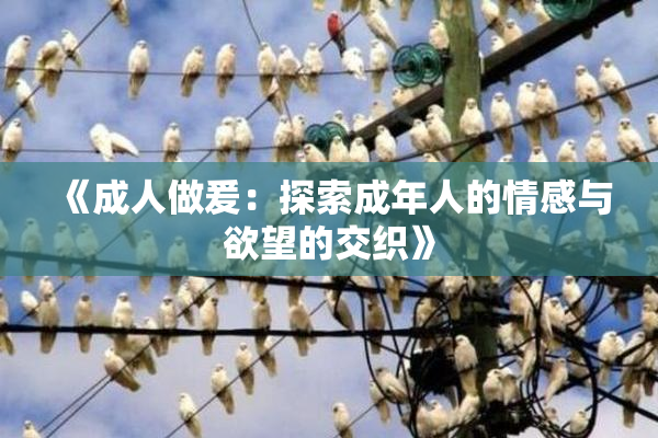 《成人做爰：探索成年人的情感与欲望的交织》