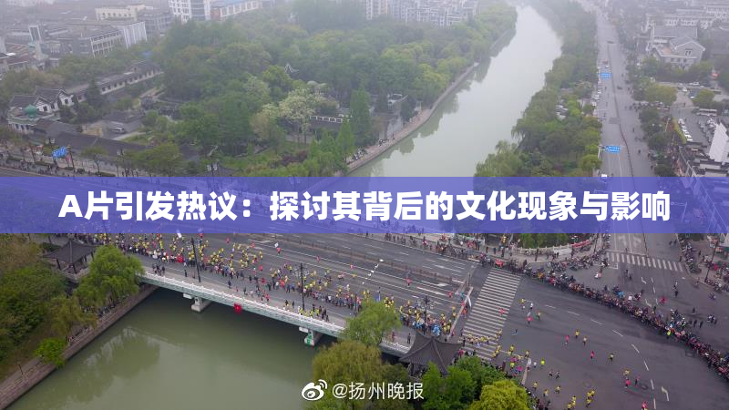 A片引发热议：探讨其背后的文化现象与影响