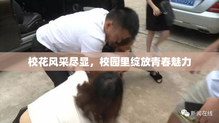 校花风采尽显，校园里绽放青春魅力