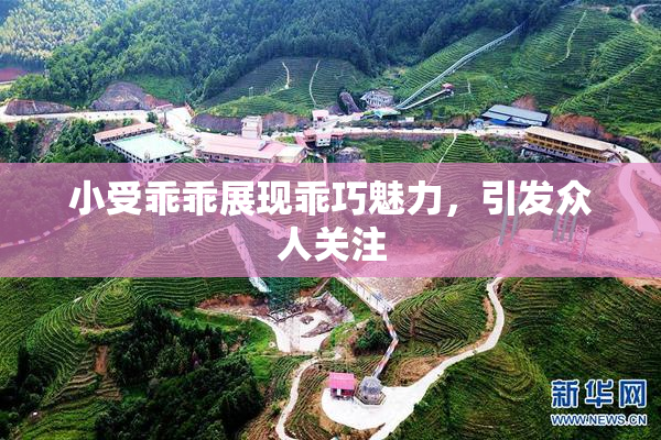 小受乖乖展现乖巧魅力，引发众人关注