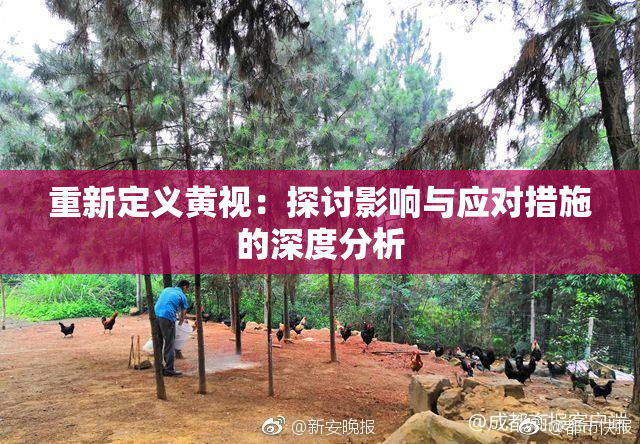 重新定义黄视：探讨影响与应对措施的深度分析