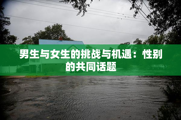 男生与女生的挑战与机遇：性别的共同话题