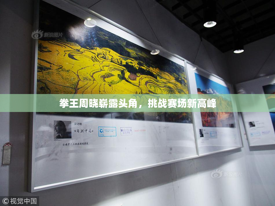 拳王周晓崭露头角，挑战赛场新高峰