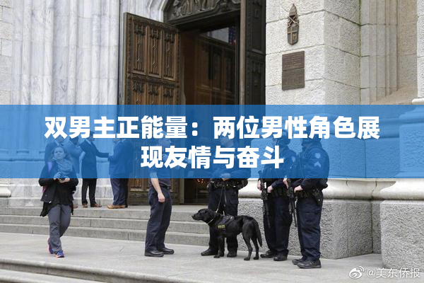 双男主正能量：两位男性角色展现友情与奋斗